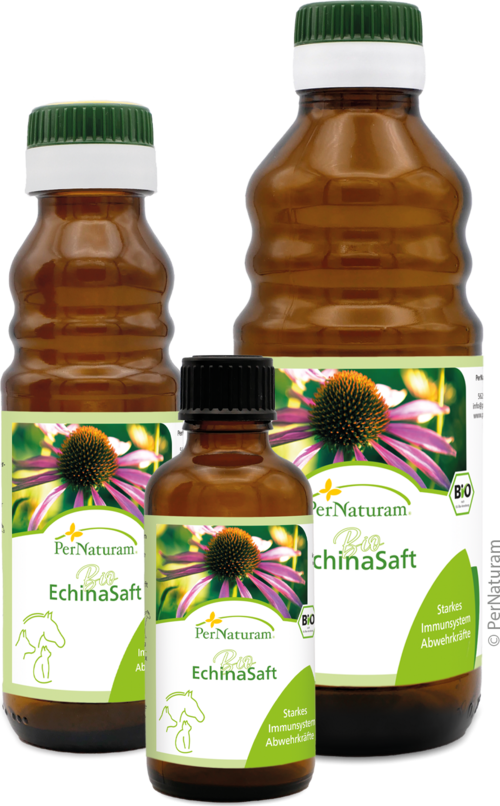 Bio Echina ImmunSaft
